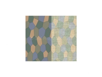 D72009	4 Color interior Lozenge (Very faded)