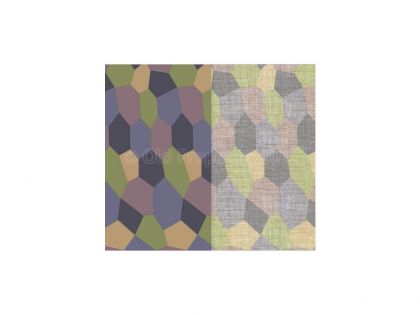 D48011	5 Color interior Lozenge (Very faded)